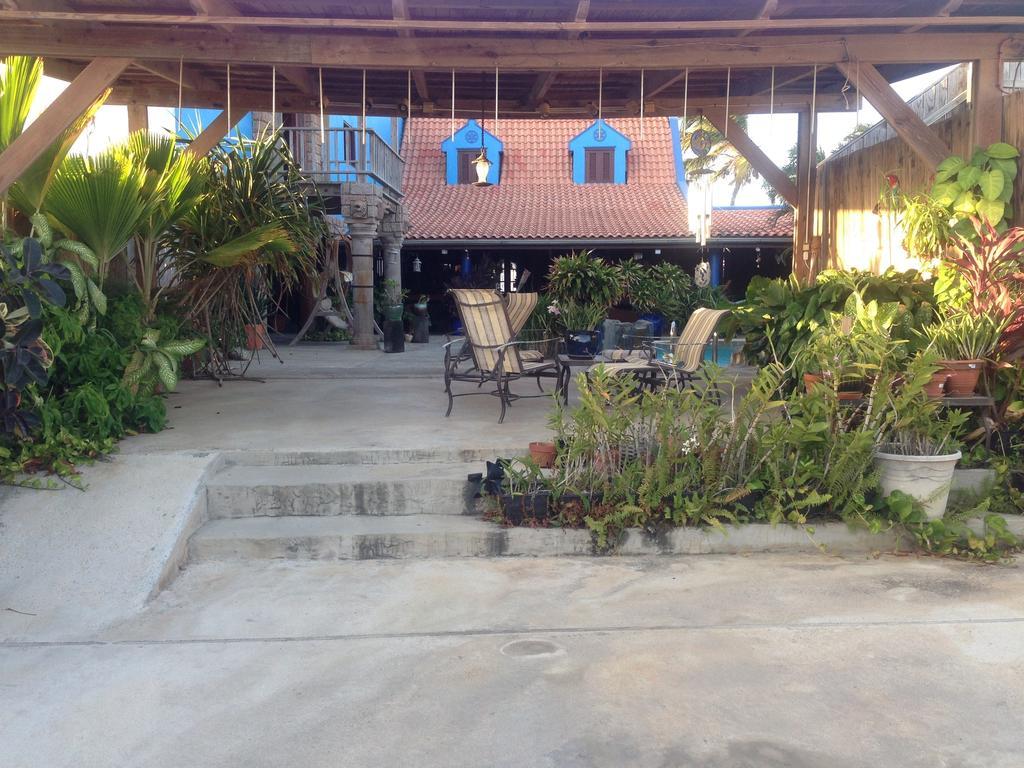 De Cuba Bed & Breakfast Noord Esterno foto
