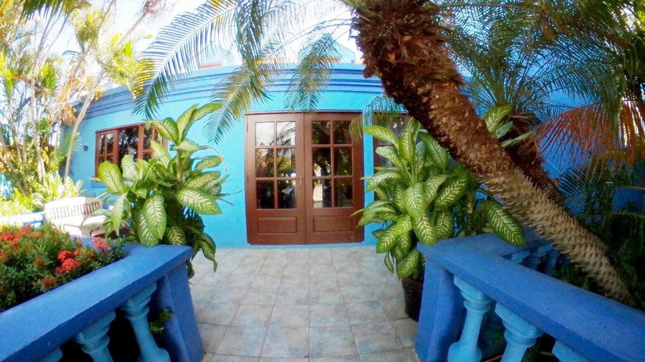 De Cuba Bed & Breakfast Noord Esterno foto