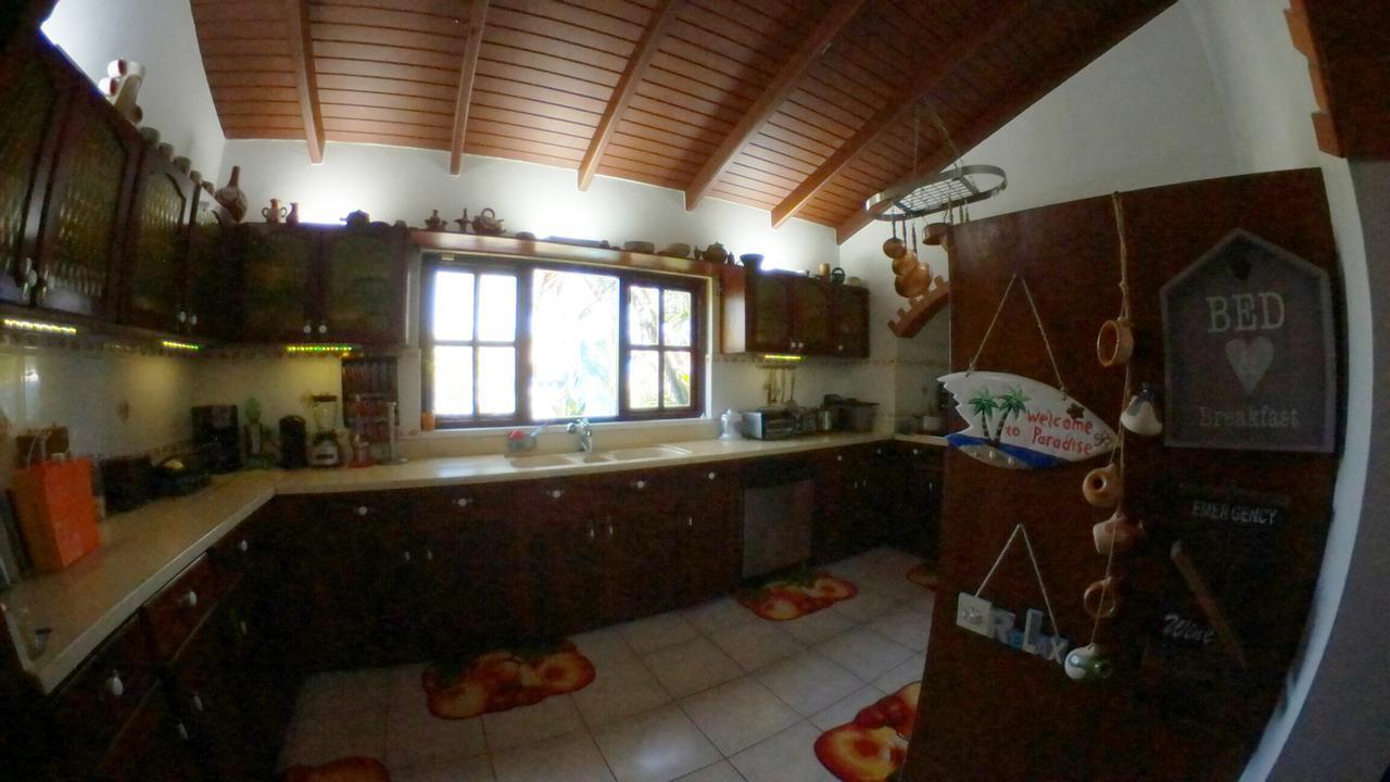De Cuba Bed & Breakfast Noord Esterno foto