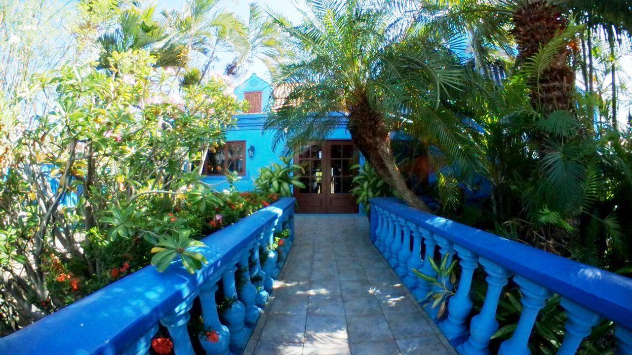 De Cuba Bed & Breakfast Noord Esterno foto