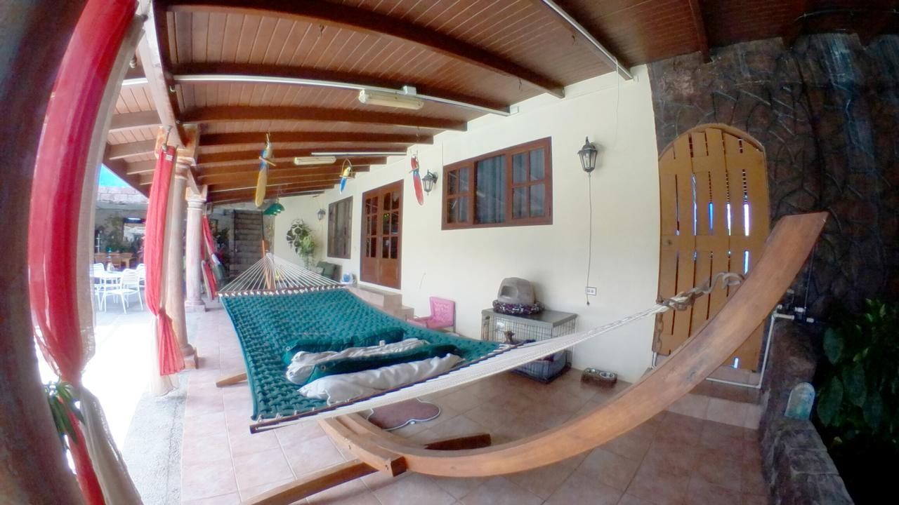 De Cuba Bed & Breakfast Noord Esterno foto